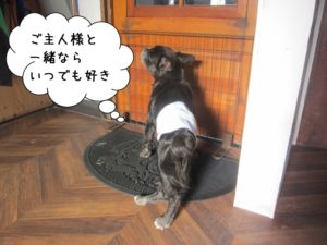 施術後ミックス