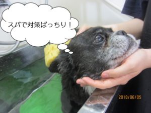 スパ中ミックス