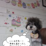 えっへんMシュナ