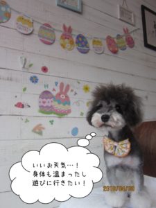 えっへんMシュナ