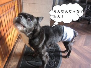 施術後ミックス