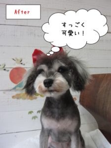 おすましMシュナ