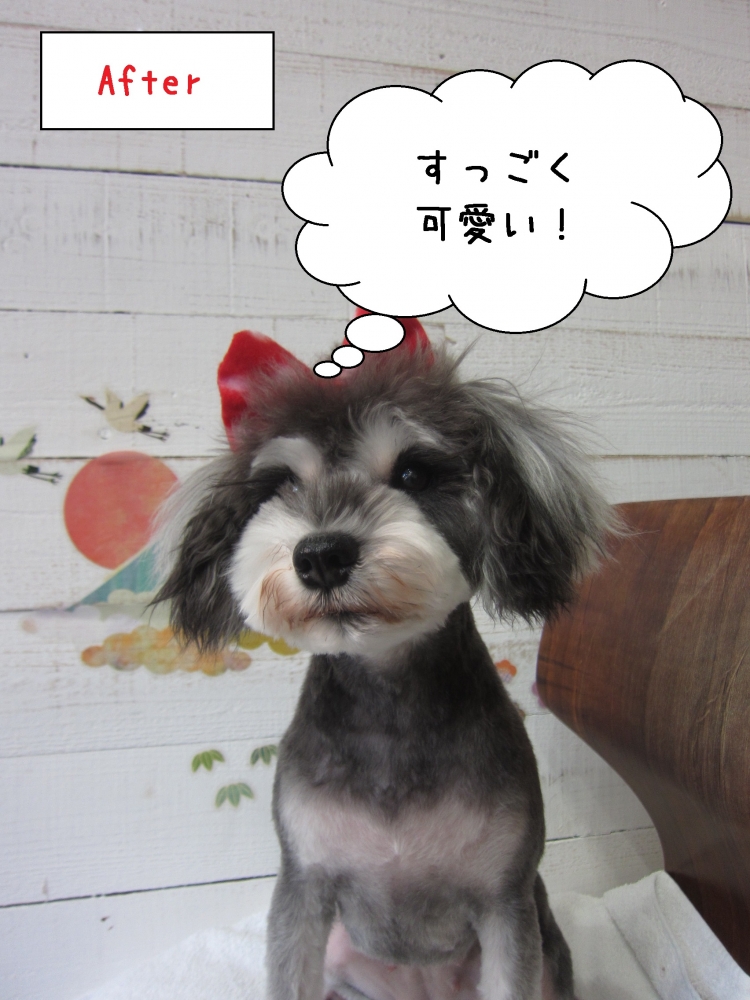 おすましMシュナ