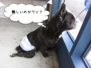 施術後ミックス