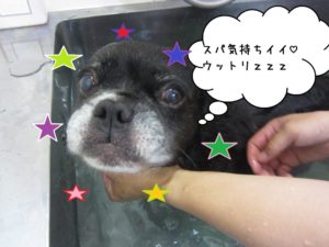 スパ中ミックス