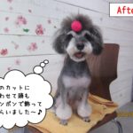 口を開けたMシュナ