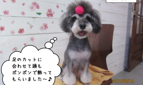 口を開けたMシュナ