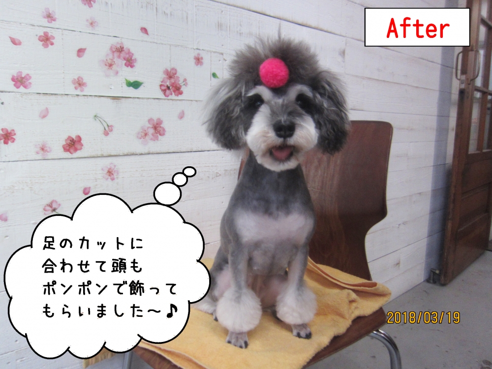 口を開けたMシュナ