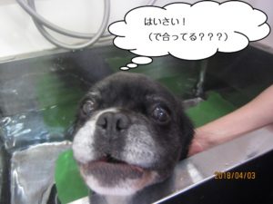 スパ中ミックス