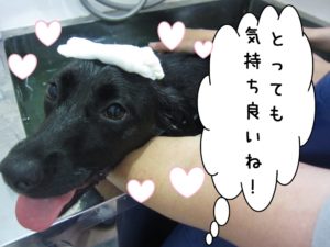 スパ中ミックス