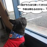 施術後ミックス