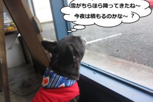 施術後ミックス