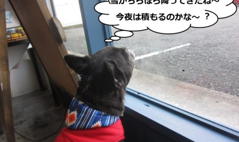 施術後ミックス