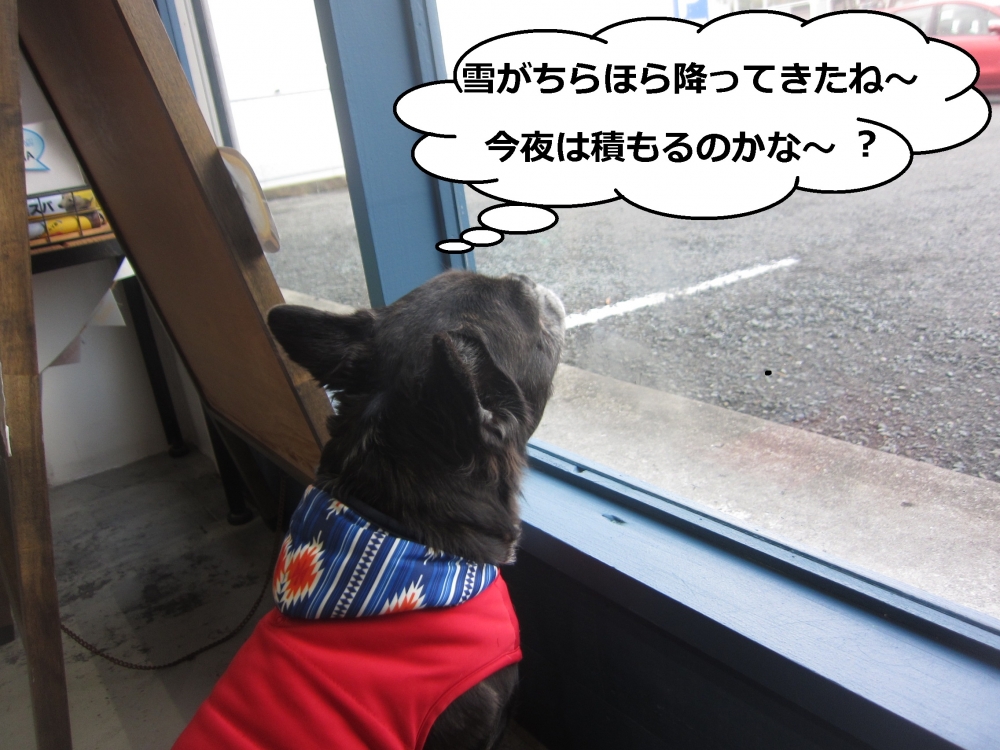 施術後ミックス