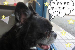 窓際笑顔ミックス