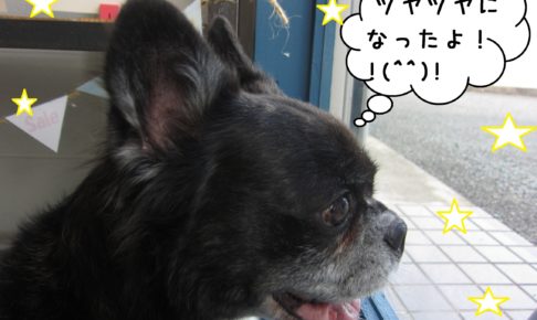 窓際笑顔ミックス