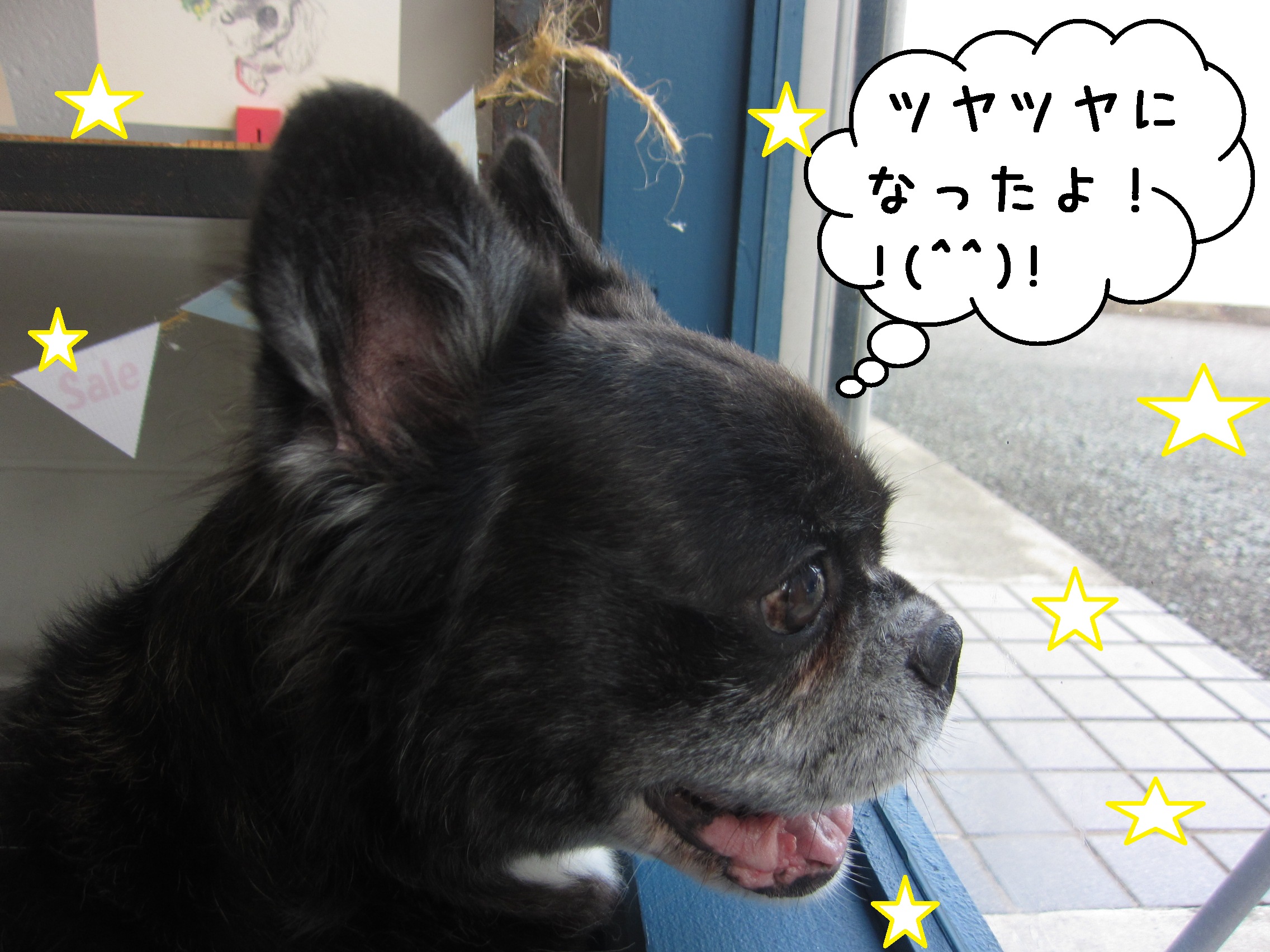 窓際笑顔ミックス