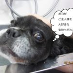 ななめミックス