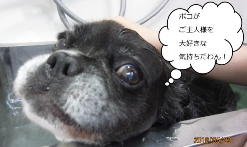 ななめミックス