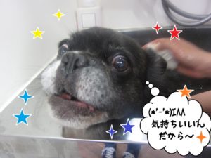 スパ中ミックス