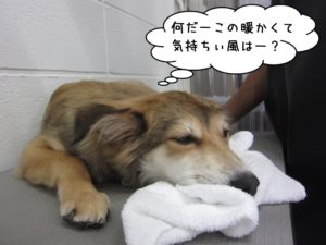 施術後ミックス