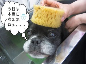 スパ中ミックス