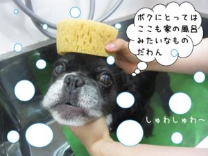 スパ中ミックス