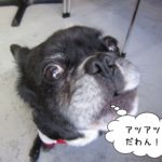 顔アップミックス