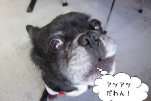 顔アップミックス