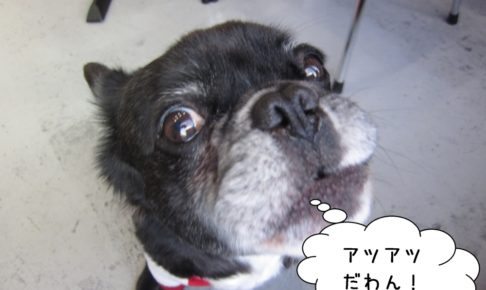 顔アップミックス