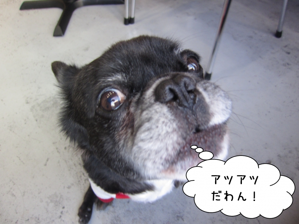 顔アップミックス