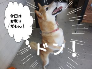 ジャンプ柴犬