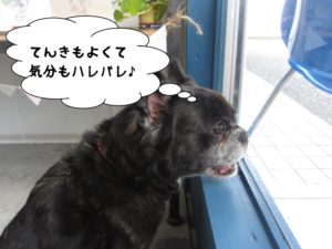 施術後ミックス