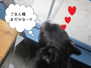 施術後ミックス