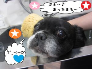 スパ中ミックス