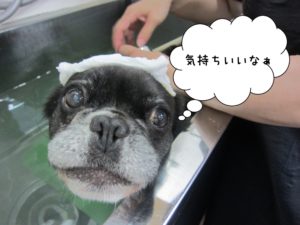 スパ中ミックス