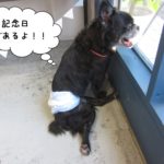 窓際笑顔ミックス