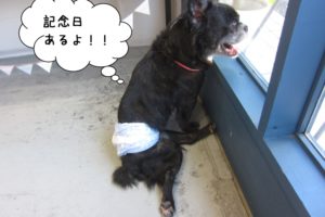 窓際笑顔ミックス