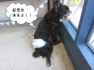 窓際笑顔ミックス