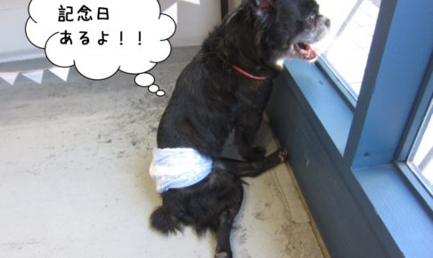 窓際笑顔ミックス