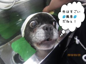 スパ中ミックス