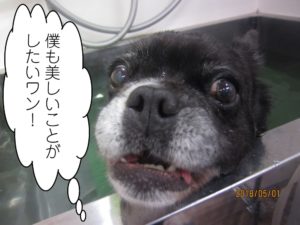 スパ中ミックス