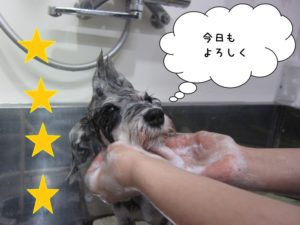 シャンプー中Mシュナ