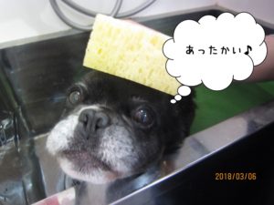 スパ中ミックス