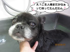 スパ中ミックス