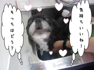 スパ中ミックス