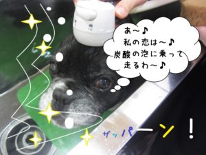 スパ中ミックス