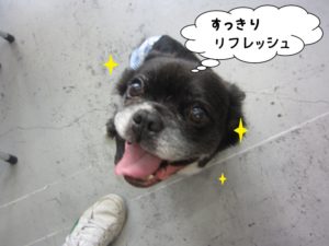 施術後ミックス