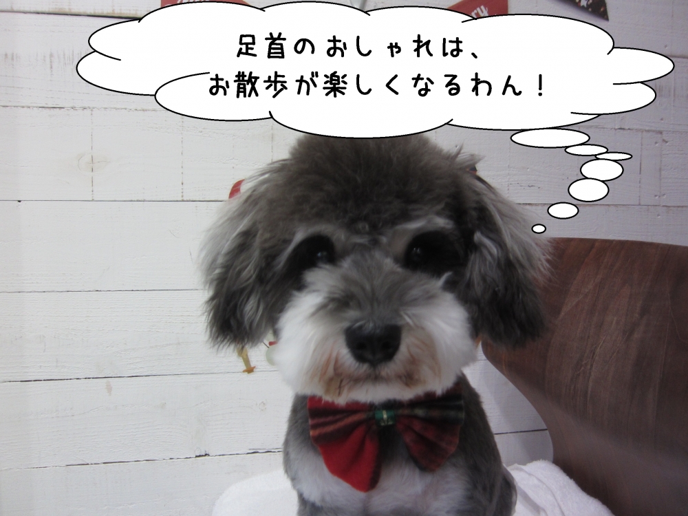 おすましMシュナ