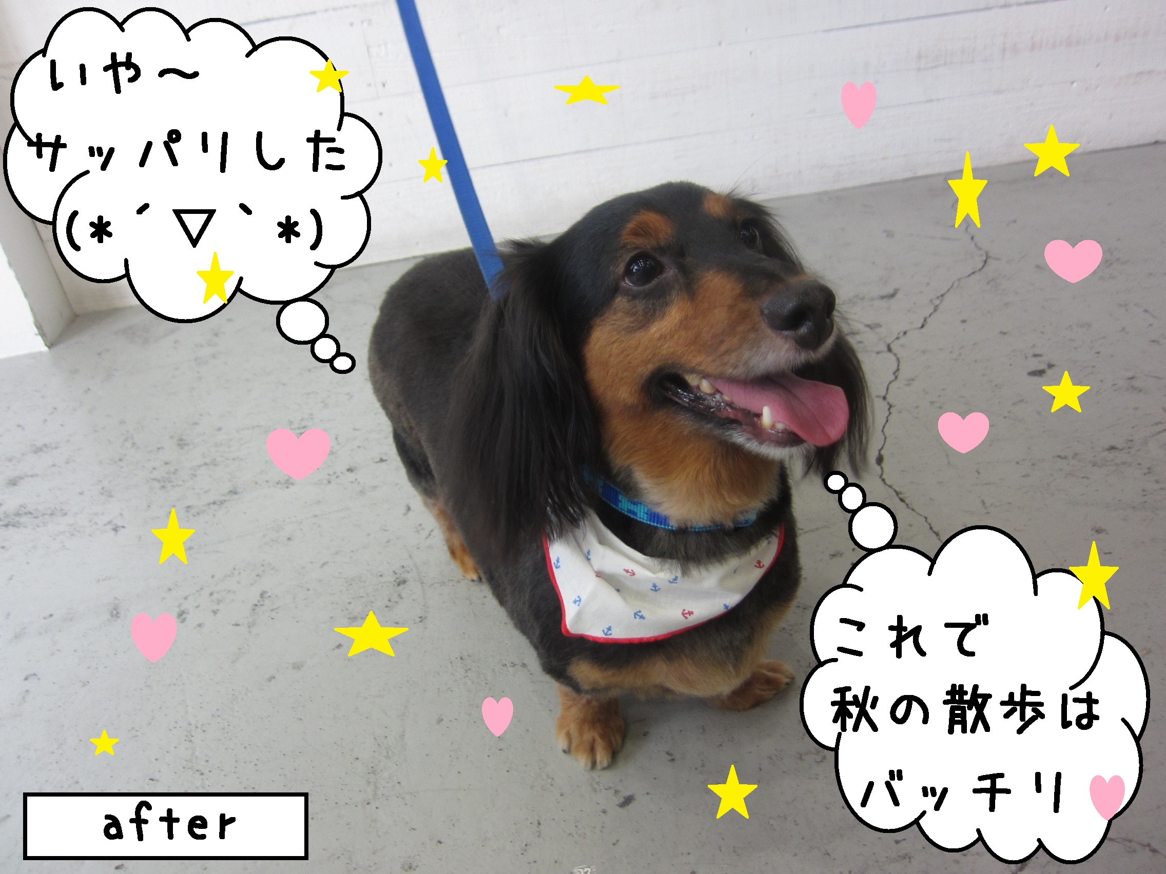 笑顔カニンヘンダックス